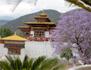 Dzong van Punakha
